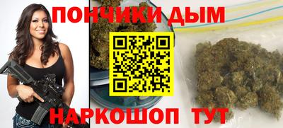 МДПВ Дубна