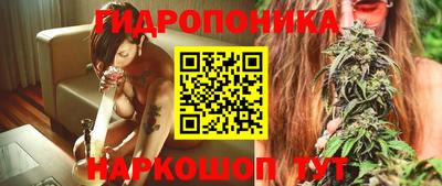шишки Донецк