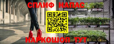 шишки Донецк