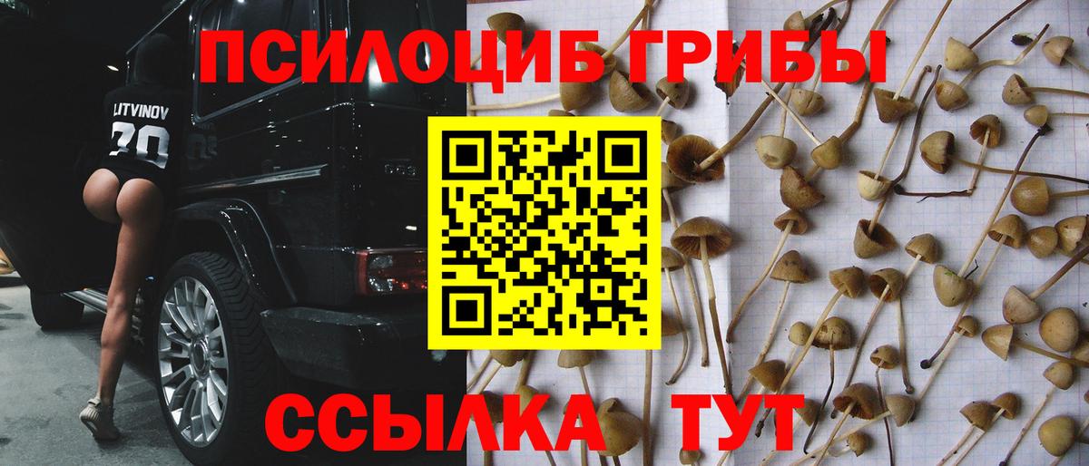 Галлюциногенные грибы Cubensis  Вход с VPN  Канаш 